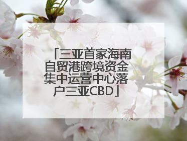 三亚首家海南自贸港跨境资金集中运营中心落户三亚CBD