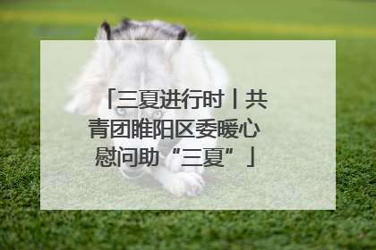 三夏进行时丨共青团睢阳区委暖心慰问助“三夏”