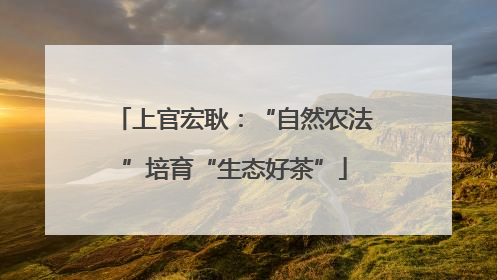 上官宏耿：“自然农法”培育“生态好茶”