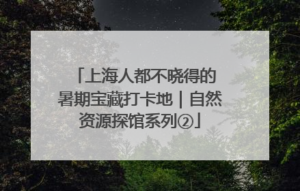 上海人都不晓得的 暑期宝藏打卡地｜自然资源探馆系列②