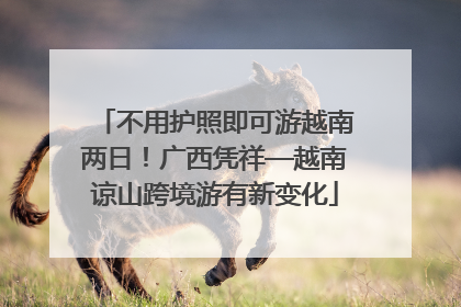 不用护照即可游越南两日！广西凭祥—越南谅山跨境游有新变化