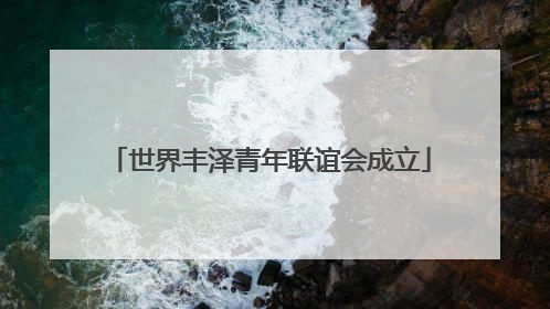 世界丰泽青年联谊会成立
