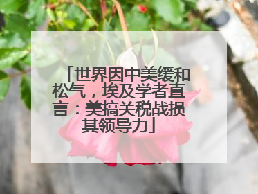 世界因中美缓和松气，埃及学者直言：美搞关税战损其领导力