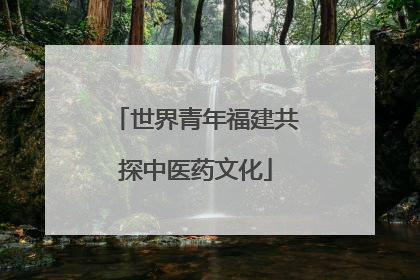 世界青年福建共探中医药文化