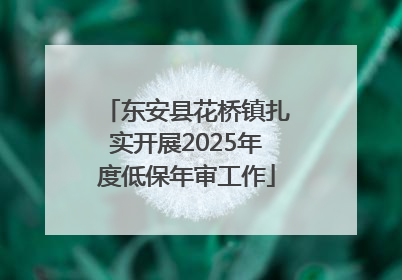 东安县花桥镇扎实开展2025年度低保年审工作