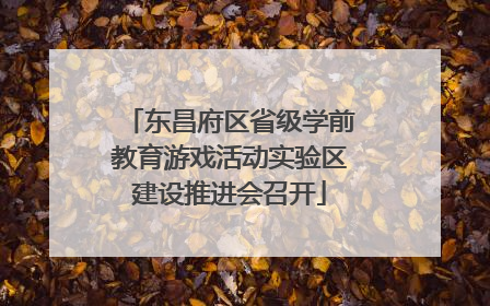 东昌府区省级学前教育游戏活动实验区建设推进会召开