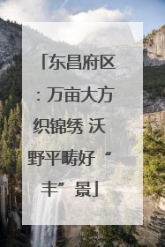 东昌府区：万亩大方织锦绣 沃野平畴好“丰”景