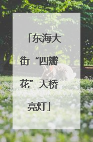 东海大街“四瓣花”天桥亮灯