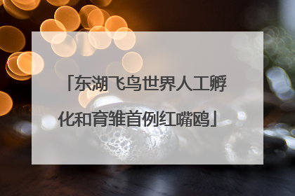 东湖飞鸟世界人工孵化和育雏首例红嘴鸥