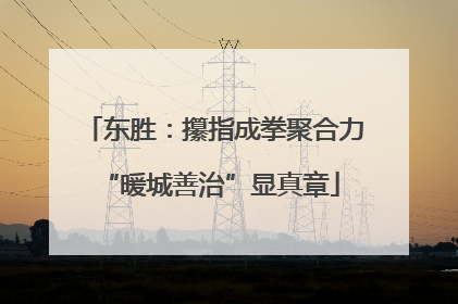 东胜：攥指成拳聚合力 “暖城善治”显真章