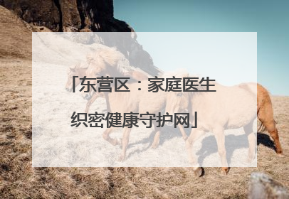 东营区：家庭医生织密健康守护网