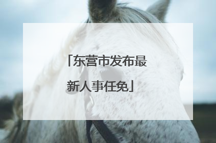 东营市发布最新人事任免