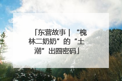 东营故事｜“槐林二奶奶”的“土潮”出圈密码