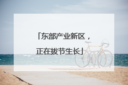 东部产业新区，正在拔节生长
