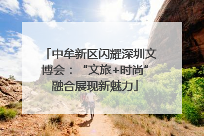 中牟新区闪耀深圳文博会：“文旅+时尚”融合展现新魅力