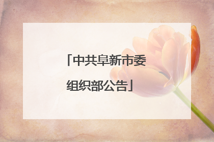 中共阜新市委组织部公告