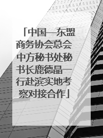 中国—东盟商务协会总会中方秘书处秘书长鹿德晶一行赴滨实地考察对接合作
