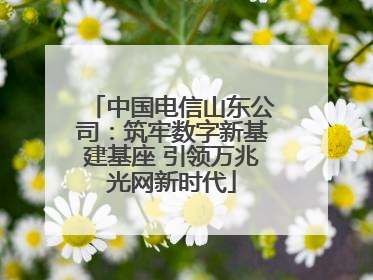 中国电信山东公司：筑牢数字新基建基座 引领万兆光网新时代