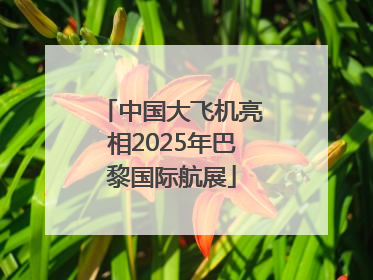 中国大飞机亮相2025年巴黎国际航展