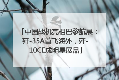 中国战机亮相巴黎航展：歼-35A首飞海外，歼-10CE成明星展品