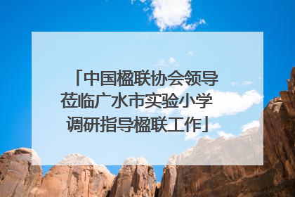 中国楹联协会领导莅临广水市实验小学调研指导楹联工作