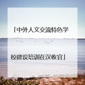 中外人文交流特色学校建设培训在汉收官