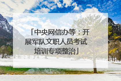 中央网信办等：开展军队文职人员考试培训专项整治
