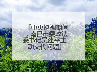 中央巡视期间，南昌市委政法委书记吴建平主动交代问题