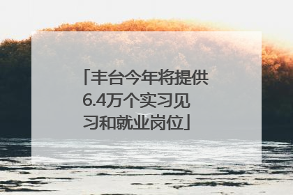 丰台今年将提供6.4万个实习见习和就业岗位
