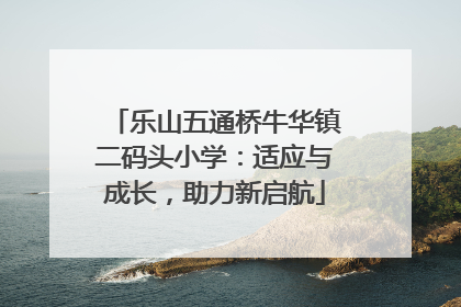乐山五通桥牛华镇二码头小学：适应与成长，助力新启航