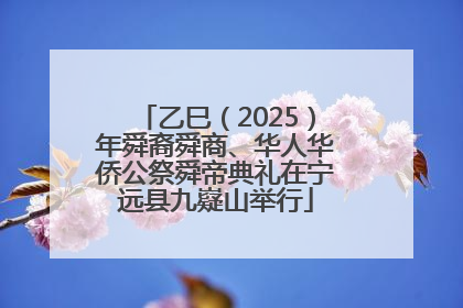 乙巳（2025）年舜裔舜商、华人华侨公祭舜帝典礼在宁远县九嶷山举行