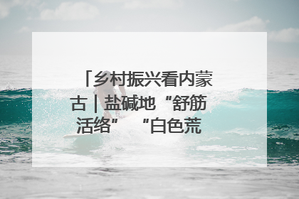 乡村振兴看内蒙古｜盐碱地“舒筋活络” “白色荒漠”长出吨粮田