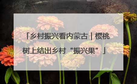 乡村振兴看内蒙古｜樱桃树上结出乡村“振兴果”