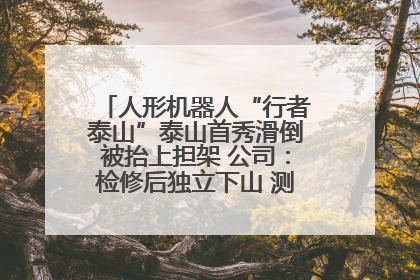 人形机器人“行者泰山”泰山首秀滑倒被抬上担架 公司：检修后独立下山 测试就是为暴露问题