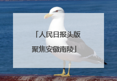 人民日报头版聚焦安徽南陵