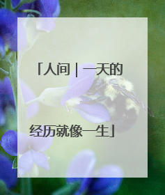人间｜一天的经历就像一生
