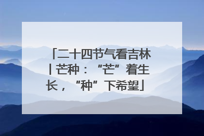 二十四节气看吉林丨芒种：“芒”着生长，“种”下希望