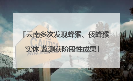 云南多次发现蜂猴、倭蜂猴实体 监测获阶段性成果