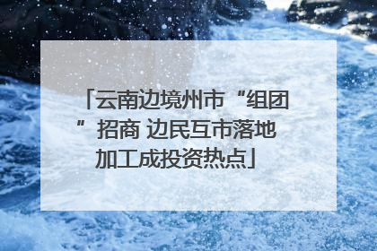 云南边境州市“组团”招商 边民互市落地加工成投资热点