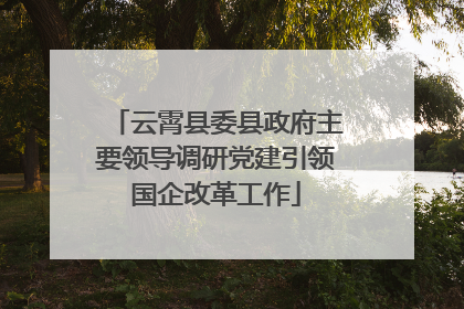 云霄县委县政府主要领导调研党建引领国企改革工作