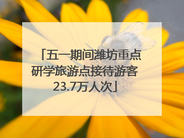 五一期间潍坊重点研学旅游点接待游客23.7万人次