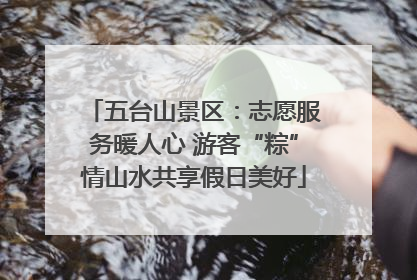 五台山景区：志愿服务暖人心 游客“粽”情山水共享假日美好
