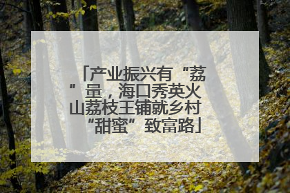 产业振兴有“荔”量，海口秀英火山荔枝王铺就乡村“甜蜜”致富路