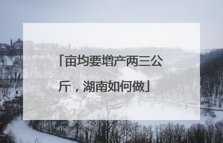 亩均要增产两三公斤，湖南如何做