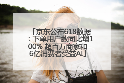 京东公布618数据：下单用户数同比增100% 超百万商家和6亿消费者受益AI