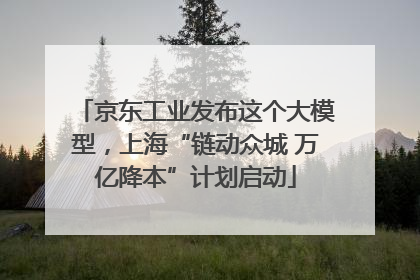 京东工业发布这个大模型，上海“链动众城 万亿降本”计划启动