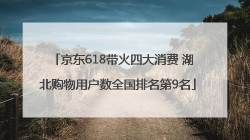 京东618带火四大消费 湖北购物用户数全国排名第9名