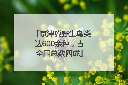 京津冀野生鸟类达600余种，占全国总数四成