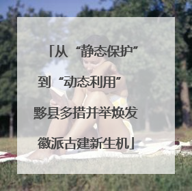 从“静态保护”到“动态利用” 黟县多措并举焕发徽派古建新生机