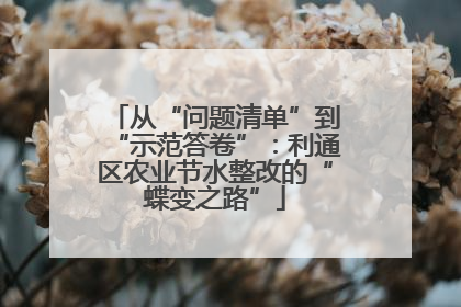 从“问题清单”到“示范答卷”：利通区农业节水整改的“蝶变之路”